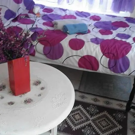 Apartman Minea *
